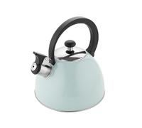 BRILLO FLORINA Bouilloire 2,5 l en acier inoxydable Bouilloire à thé Bouilloire à sifflet Bouilloires Cuisine