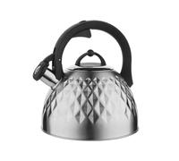 FLORINA - Bouilloire Inox (2,5 l) I Bouilloire Sifflante FENNY SATIN I Poignée Résistante à la Chaleur I Bouilloire non Electrique I Bouilloire Induction, Gaz I Pour Thé et Café I Couleur: Argent