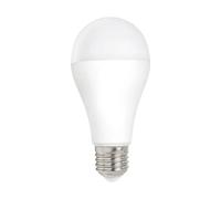Flos Ampoule LED A65 opale dimmable E27 2700K 2200lm 21W