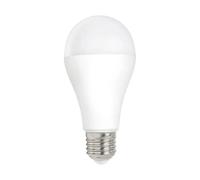Flos Ampoule LED A65 opale dimmable E27 3000K 2452 lm 21 W