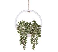 Floweroyal 1 Pièces Succulentes Artificielles Plantes Suspendues 12.2'' Faux Collier de Perles en Pot avec Cordon de 8,3'' pour Intérieur Extérieur Mur Décor.