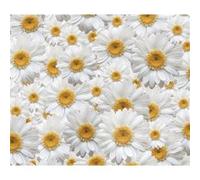 Flowers, Marguerite rideau imprimés Zoom sur de très grandes fleurs blanches et jaunes 180x160 cm, 2 parts G