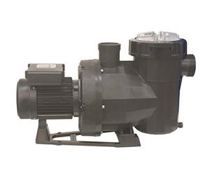 Fluidra 65565 Pompe Victoria Plus Silent 1.5 CV trifasica
