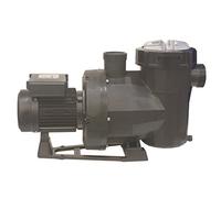 Fluidra 65566 Pompe Victoria Plus Silent 2 CV Mono