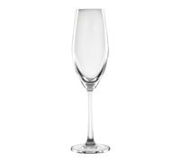Flûtes Cordoba 210ml - Lot de 6 - Olympia