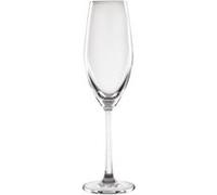 Flûtes Cordoba 210ml x 6 Olympia 14 G