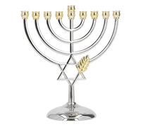 Focket Porte-Bougie Juive 9 Branches, Vintage Ornement de la Menorah Juive Métal Bougie Titulaire Bougeoir à 9 Branches Temple Juif Menorah Bougie Stand pour la Décoration de la Maison