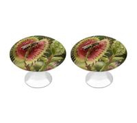 FodPand Lot de 2 boutons d'armoire de 2,8 cm à trou unique - Poignées décoratives Venus Flytrap pour commode, cuisine, salle de bain, armoire, meuble, porte de placard