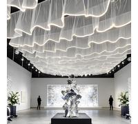 FOELANNE Rideaux de Plafond Lumineux à LED, Multicolores, Plusieurs Tailles(50mx0.5m,WhiteVeil+WhiteLight)