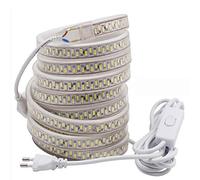 FOLGEMIR 3m Ruban à LED avec interrupteur - Blanc Froid, 220V 230V LED strip, Bande de 5630 SMD 180 LEDs/m, éclairage très lumineux, IP65 étanche