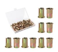 FOMGIIN 100 Pièces M6 écrous à Sertir, En Acier Au Carbone Galvanisé écrou Insert Riveter Manchon, Ronds Aveugles Insers Fileté Riveteuse, écrous à Rivets Flat Head Threaded Rivet Nuts