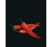 Fond de hotte cuisine en verre trempé WENKO Hot Peperoni - 60x70 cm - Multicolore