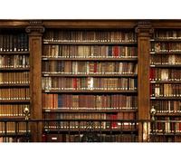 Fond mural vintage pour bibliothèque, dimensions 6,1 x 3 mètres, idéal pour la photographie