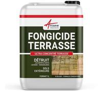 Fongicide Anti dépôt vert concentré pour terrasse et sols - Élimine aussi algues et lichens - ANTI-MOUSSE 1 L (jusqu a 250m²)