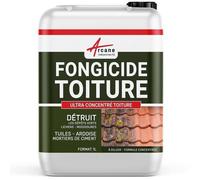 Fongicide Anti depot vert concentré pour toiture - Élimine aussi algues et lichens - ANTI-MOUSSE 1 L (jusqu a 250m²)