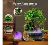 Fontaine d'intérieur avec éclairage LED Fontaine de Table Salon Bureau Cascade Desktop Bonsai Ornament