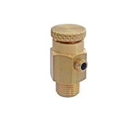 SOMATHERM FOR YOU, Purgeur d'air mâle 1/4" (8/13) en laiton brut avec molette, facile à installer, évacue l'air des radiateurs pour une circulation optimale et un chauffage efficace
