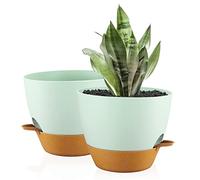 FORAGIFT Lot de 2 grands pots de fleurs en plastique avec réservoir profond et trous de drainage élevés pour intérieur et extérieur Vert terre cuite 25 cm
