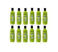 Foresan W.C. Ambientador concentrado 125 ml - Lot de 12