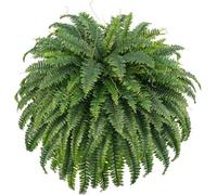 FOREST PRINCE Boston Grande fougère artificielle d'extérieur, fougères artificielles 132 cm, fougères artificielles d'aspect très réaliste, plantes vertes artificielles pour l'intérieur et l'extérieur