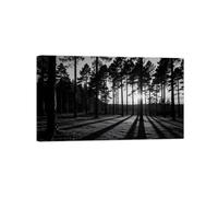Forêt Arbre 2 Noir Blanc Paysage Tableau Toile Salon 60x100cm Encadrée