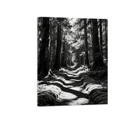 Forêt Arbre 4 Noir Blanc Paysage Tableau Toile Salon 80x105cm Encadrée