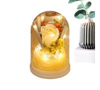 Forever Flowers Bouquet de roses éternelles 15 x 10,5 cm en dôme en verre, infinie avec lumière, cadeau floral romantique | Arrangement de fleurs préservées pour maman, femme, grand-mère, épouse