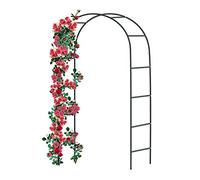 Forever Speed Arche de Rose en métal - Grille de Rose en Acier revêtu par Poudre - Décoration de Jardin et décoration - Résistant aux intempéries - 240 x 140 x 38 cm - Noir