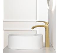 Fortis Fiera Robinet de lavabo extra long, avec corps de robinetterie surélevé, 89211002BG,