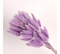 FOSANGPUSHI Fleurs séchées de queues de Lapin,60 pièces 45cm queues de Lapin Fleurs séchées pour la Maison Vase décoration Naturel Sec Pampas Queue de Lapin Herbe Arrangement de Mariage Violet