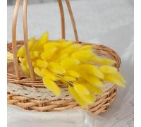FOSANGPUSHI Fleurs séchées de queues de Lapin,60Pcs 45cm Nature Lapin Queue De Lapin Herbe Bouquet De Fleurs Séchées Décor De Fête De Mariage Moelleux Pampas Arrangement Floral De Noël Jaune
