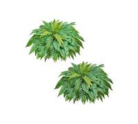VEVOR Fougère Artificielle 1143 mm, Fougère de Boston Artificielle 63 Frondes, Plante Artificielle en Soie et LDPE pour Décoration Intérieur Extérieur, Maison, Jardin, Porche, Bureau, Salon, Lot de 2