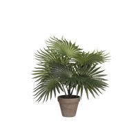 Fougère Plante artificielle dans un pot de fleurs Stan - H40 x Ø35 cm - Vert - Mica Decorations