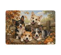 Four Corgis in Wooden Crates Tapis 150 x 100 cm, Doux et Antidérapant | Idée cadeau de crémaillère : Tapis antidérapant, avec poils courts; pour chambre et salon