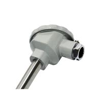 Four de recuit de capteur de température de thermocouple en acier | Capteur de four de recuit à hautes températures de sonde du thermocouple 310SS(16x500mm)