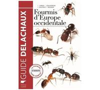 Fourmis D'europe Occidentale