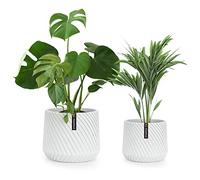 Fox & Fern Pot de Fleur Interieur et Extérieur, Jardinieres Exterieur, Pot Plante Résistant UV et Gel avec Bouchon de Drainage, Polystone, Jardiniere, Pot de Fleur Exterieur Grande Taille, Lot de 2
