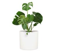 Fox & Fern Pot de Fleur Interieur et Extérieur, Jardinieres Exterieur, Pot Plante Résistant UV et Gel avec Bouchon de Drainage, Fiberstone, Jardiniere, Pot de Fleur Exterieur Grande Taille, Pot Unique