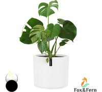 Fox & Fern Pot de Fleur Interieur et Extérieur, Jardinieres Exterieur, Pot Plante Résistant UV et Gel avec Bouchon de Drainage, Fiberstone, Jardiniere, Pot de Fleur Exterieur Grande Taille, Pot Unique