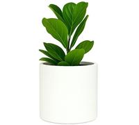 Fox & Fern Pot de Fleur Intérieur & Extérieur - Jardinière Résistante aux UV et au Gel avec Bouchon de Drainage - Grande Taille en Fiberstone - Design Unique