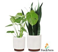 Fox & Fern Pots de fleurs Enspijk