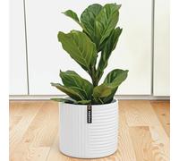 Fox & Fern Pot de Fleur Interieur, Pot pour Plantes en Polystone, Cache Pot Plante Interieur et Extérieur Résistant UV et Gel, Pot Fleur Exterieur Grande Taille, Jardinieres Exterieur Bouchon Drainage