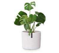 Fox & Fern Pot de Fleur Interieur, Pot pour Plantes en Polystone, Cache Pot Plante Interieur et Extérieur Résistant UV et Gel, Pot Fleur Exterieur Grande Taille, Jardinieres Exterieur Bouchon Drainage