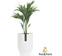 Fox & Fern Pot de fleurs avec bouchon, grand pot de fleurs pour intérieur/extérieur, pot de fleurs résistant aux UV et au gel, pots de fleurs en polystone blanc, pot de fleurs de 25 cm de diamètre, gr