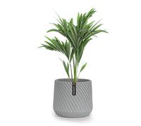 Fox & Fern Pot de fleurs Heusden