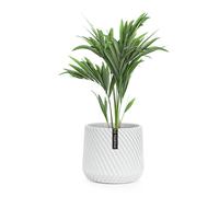 Fox & Fern Pot de fleurs Heusden