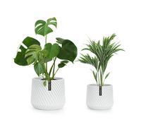 Fox & Fern Pot de fleurs Heusden en lot de 2