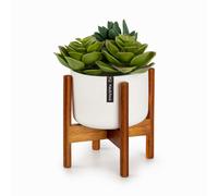 Fox & Fern Pot de fleurs Thorn avec support