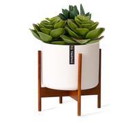 Fox & Fern Pot de fleurs Thorn avec support