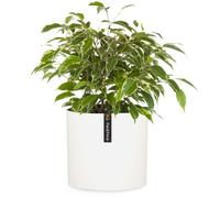 Blumfeldt Pot de fleurs Venlo – Polystone, intérieur et extérieur, résistant UV – Blanc